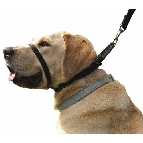 Canny Collar Stop Lead Pulling for Walking Training Size 1 23-28cm