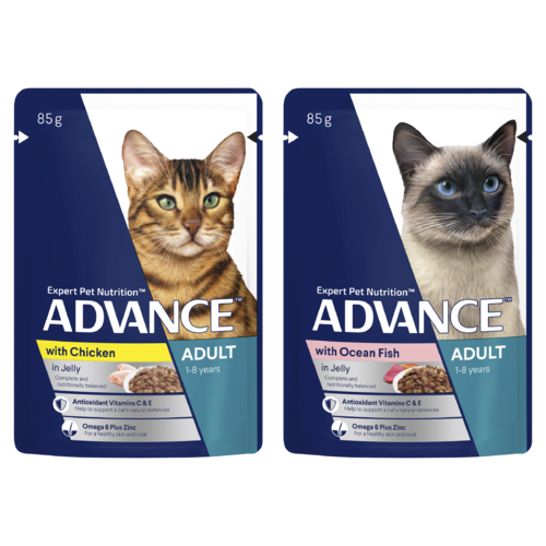 Advance Adult 1+ Wet Cat Food Tender Chunks in Jelly Multi Pack 12 x 85g