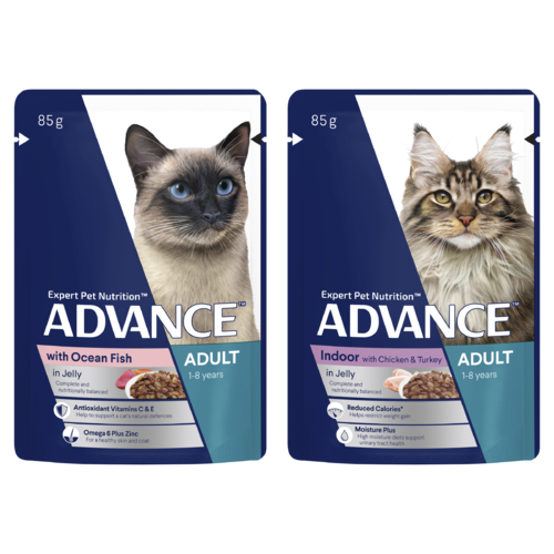 Advance Adult 1+ Wet Cat Food w/ Ocean Fish & Chicken & Turkey in Jelly 12 x 85g