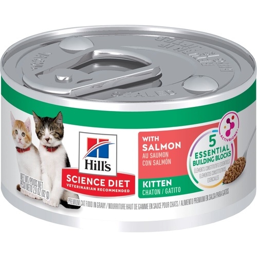 Hills Science Diet Kitten Wet Cat Food with Savory Salmon Entree 24 x 85g