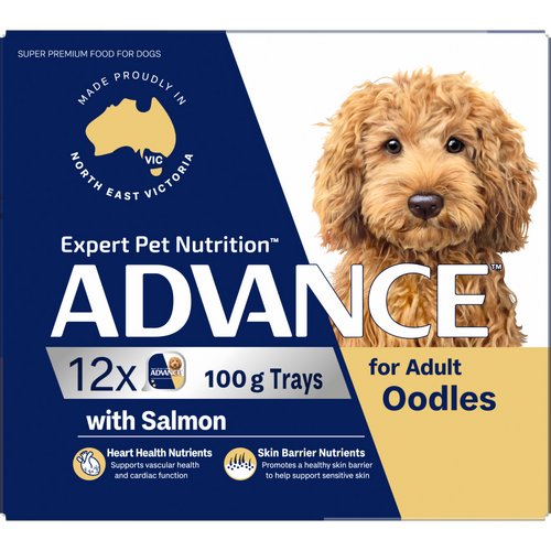 Advance Adult Oodles Wet Dog Food with Salmon Trays 12 x 100g
