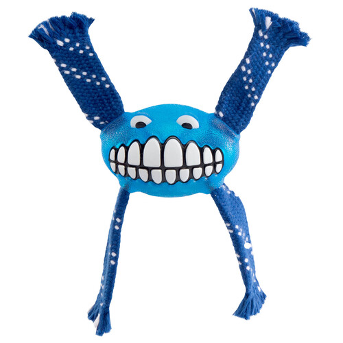 Rogz Flossy Grinz Oral Care Dog Squeaker Toy Blue Small