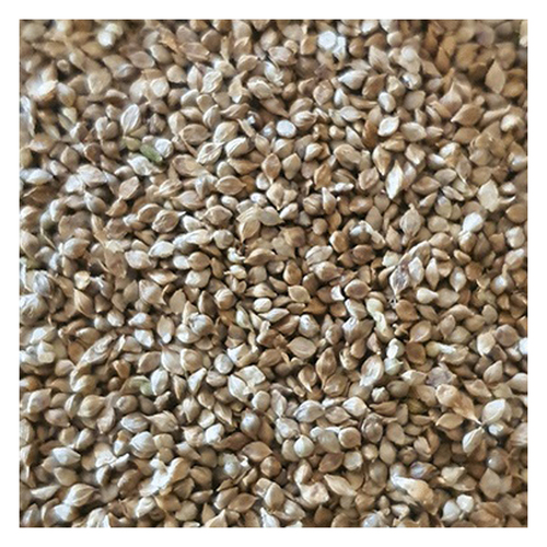 Green Valley Japanese Millet for Farm Animals 20kg