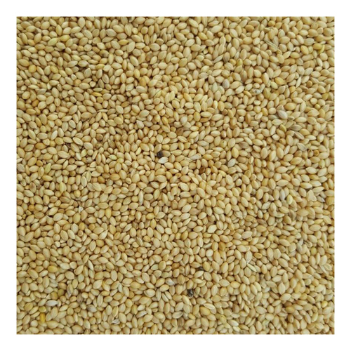Green Valley Pannicum Millet for Budgies 20kg