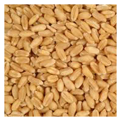 Country Heritage Organic Whole Wheat Grain for Poultry 20kg 