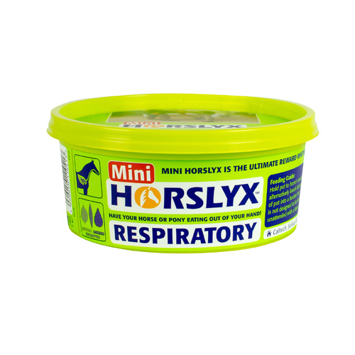Horslyx Respiratory Balancer Vitamin & Mineral Lick for Horses Mini 650g