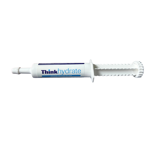 Think Hydrate Electrolyte Supplement Paste Syringe for Horses 30ml