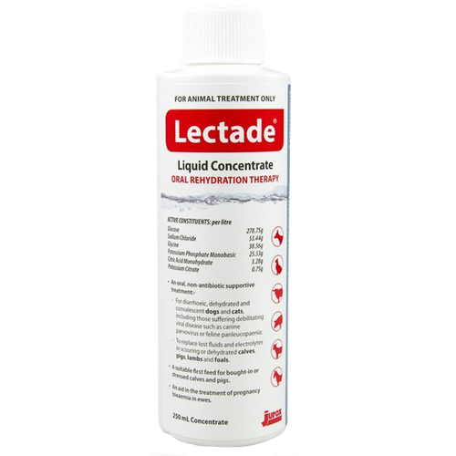 Lectade Liquid Concentrate Oral Rehydration Therapy 250ml 