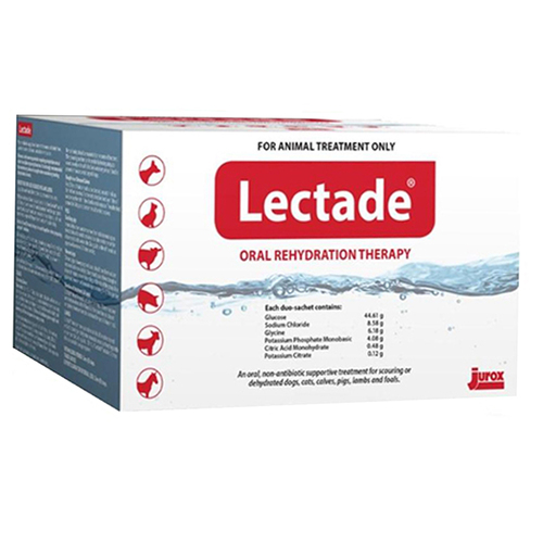Lectade Liquid Concentrate Oral Rehydration Therapy Sachets 12 Pack 