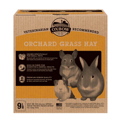 Oxbow Orchard Grass Hay for Rabbits Guinea Pigs & Chinchillas Large 4kg