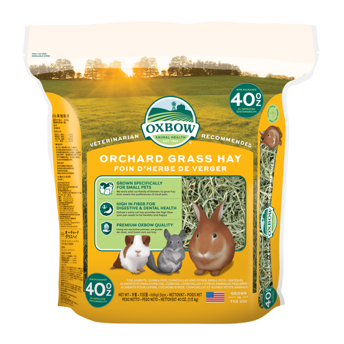 Oxbow Orchard Grass Hay for Rabbits Guinea Pigs & Chinchillas Medium 1.13kg