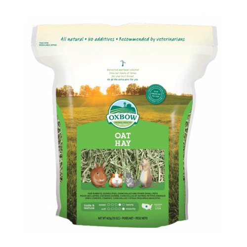 Oxbow Oat Hay High in Fibre for Rabbits Guinea Pigs & Chinchillas 425g