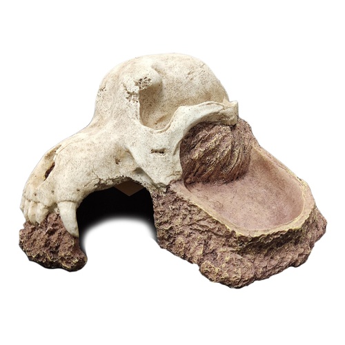 URS Wolf Skull Hide Ornament for Terrariums & Vivariums 18.5 × 18.5 x 10cm