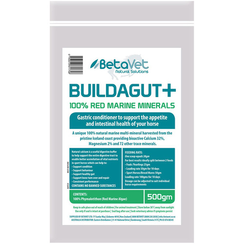 BetaVet Natural Solutions Horse Buildagut Plus Gastric Conditioner - 4 Sizes