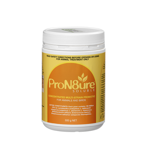 IAH ProN8ure Soluble Multi Strain Probiotic for Animal Use Orange 500g 
