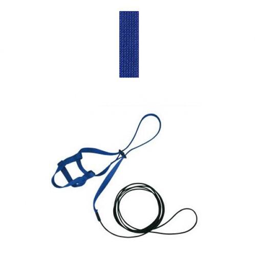 The Aviator Bird Safety Harness & Leash w/ DVD Blue - 4 Sizes