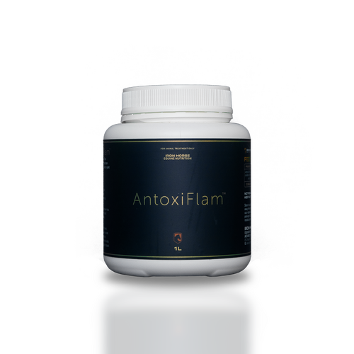 Iron Horse Equine Nutrition AntoxiFlam Supplement for Horses 250ml