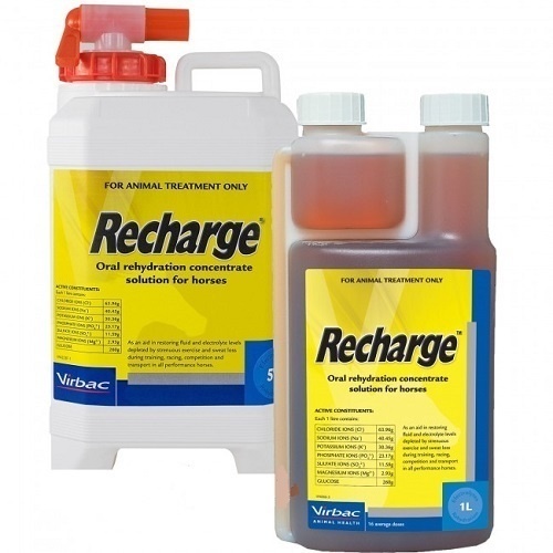 Virbac Recharge Horses Oral Rehydration Concentrate Solution 1L 