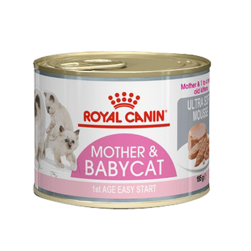 Royal Canin Mother & Babycat Wet Cat Food 12 x 195g