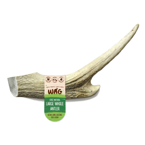 WAG Whole Deer Antler Long Lasting Natural Dog Chew Treat Large