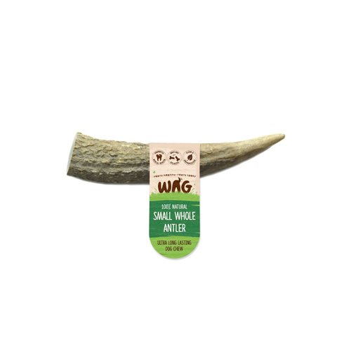 WAG Whole Deer Antler Long Lasting Natural Dog Chew Treat Small