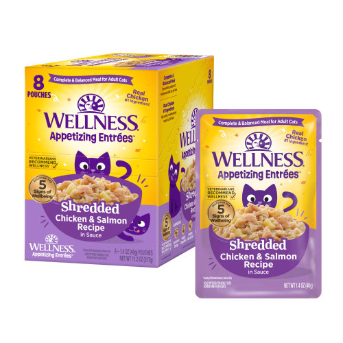Wellness Core Appetizing Entrees Wet Cat Food Shredded Chicken & Salmon 8 x 40g