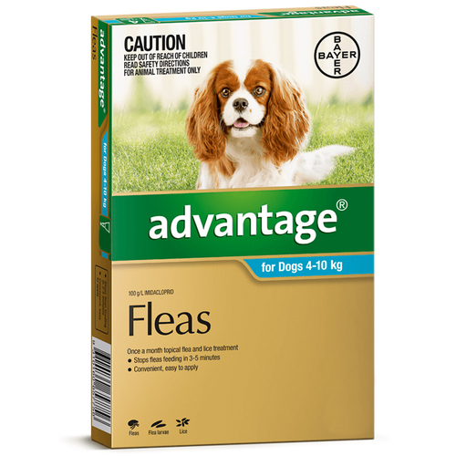 Advantage Medium Dog 4-10kg Teal Spot On Flea Treatment 1 Pack