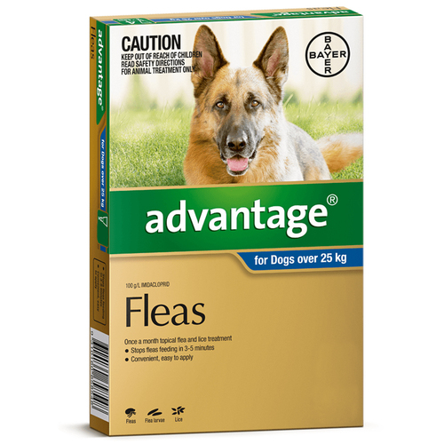 Advantage Extra Large Dog 25kg Over Blue Spot On Flea Treatment 4 Pack
