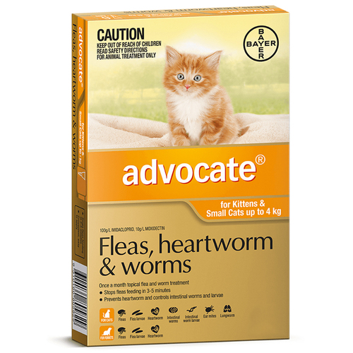 Advocate Cat & Kitten 0-4kg Orange Spot On Flea Wormer Treatment 1 Pack