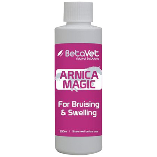 BetaVet Natural Solutions Horse Arnica Magic Muscle Tendon 250ml