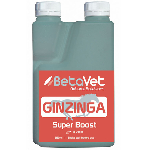 BetaVet Natural Solutions Horse Ginzinnga Super Boost Supplement 250ml