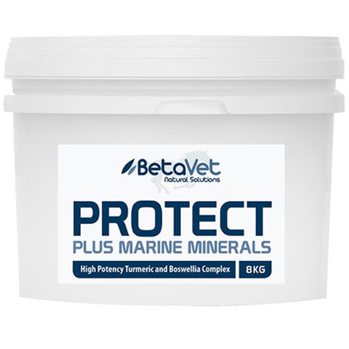 BetaVet Natural Solutions Horse Protect Optimal Soundness Supplement 8kg