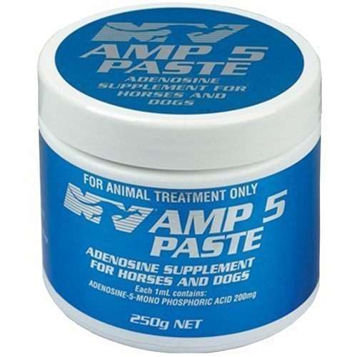 Ceva AMP 5 Muscle Cramp Fatigue Horse Paste 250g