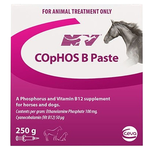 Cophos B Paste Vitamin B12 Lactic Acid Muscle Vitamin Dog Horse 250g 