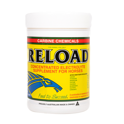 Carbine Reload Oral Electrolye Reinforcement Supplement Horse 2kg 