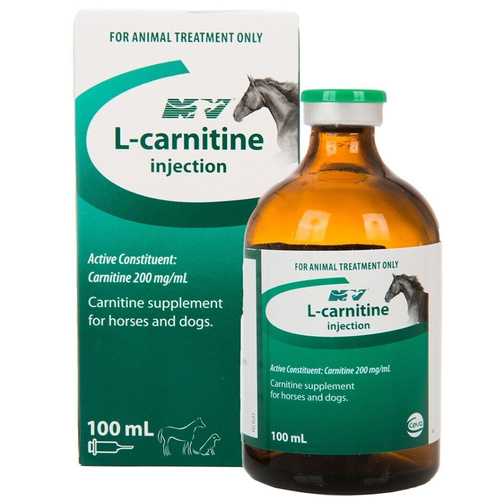 Ceva L-Carnitine Supplement Amino Acid Horses Dogs 100ml 