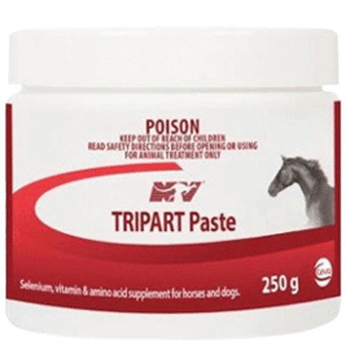 Ceva Tripart Paste Horse Muscle Function Recovery Horse 250g 