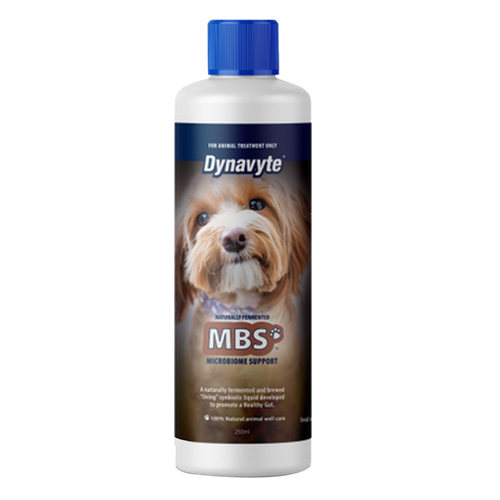 Dynavyte MBS for Dogs Gut Health Microbiome Support 500ml