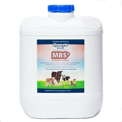 Dynavyte Equine Microbiome Support Healthy Gut Horse Supplement 10L