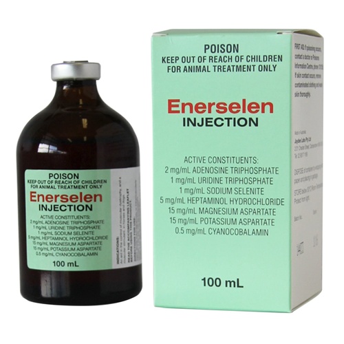 Enerselen Injection Selenium Treatment Muscle Protection for Horses 100ml