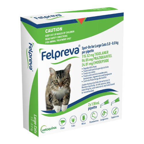 Felpreva Spot On Flea & Ticks Treatment for Large Cats 5-8kg 2 Pack