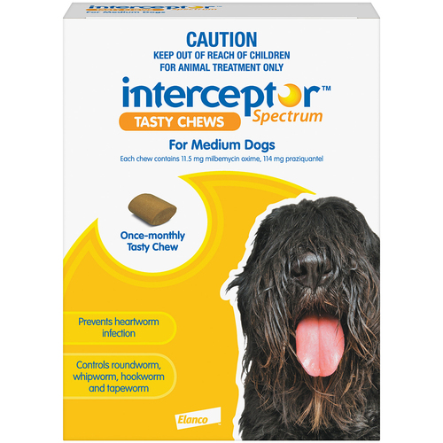 Interceptor Spectrum Tasty Chews Worm Control Medium Dog Yellow 3 Chews 