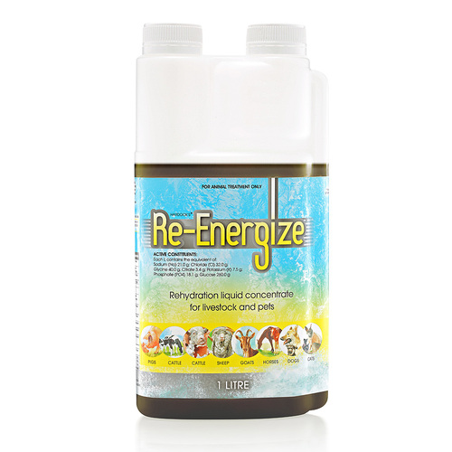 IAH Re Energize Rehydration Pets Liquid Concentrate 20L