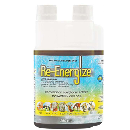 IAH Re-Energize Livestock & Pets Treatment 250ml
