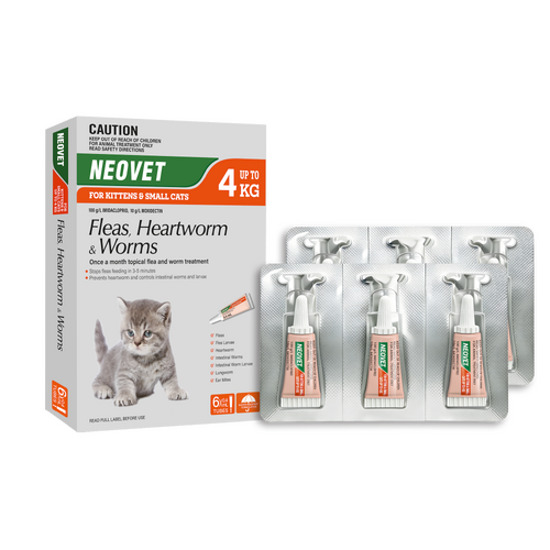 Neovet Spot-on Flea & Worms Treatment for Kitten & Small Cats Up to 4kg 6 Pack