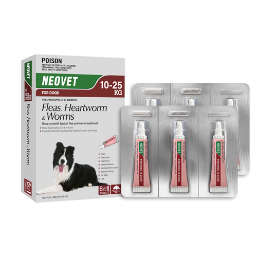 Neovet Spot-on Flea & Worms Treatment for Dogs 10-25kg Red 6 Pack