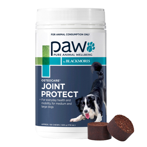 PAW Osteocare Dogs Joint Health Tasty Treat Chews 500g 