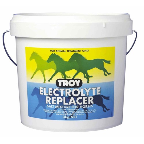 Troy Electrolyte Replacer Salt Mixture Horse Supplement 3kg