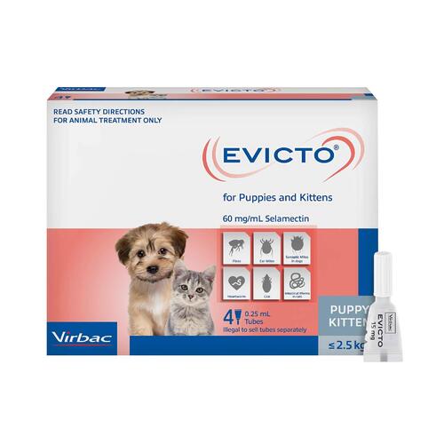 Evicto Spot On Flea & Worm Treatment for Puppies & Kittens Up to 2.5kg 4 Pack