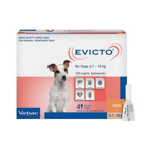 Evicto Spot On Flea & Worm Treatment for Small Dogs 5.1-10kg Pink 4 Pack